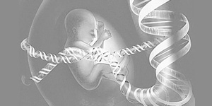 基因检测：植入“人工智能”的种子