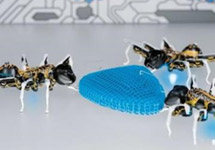 科学家3D打印比蚂蚁还小的机器人 不用电就能跑